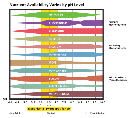 Understanding Plant Nutrition - GreenPlanet Nutrients USA