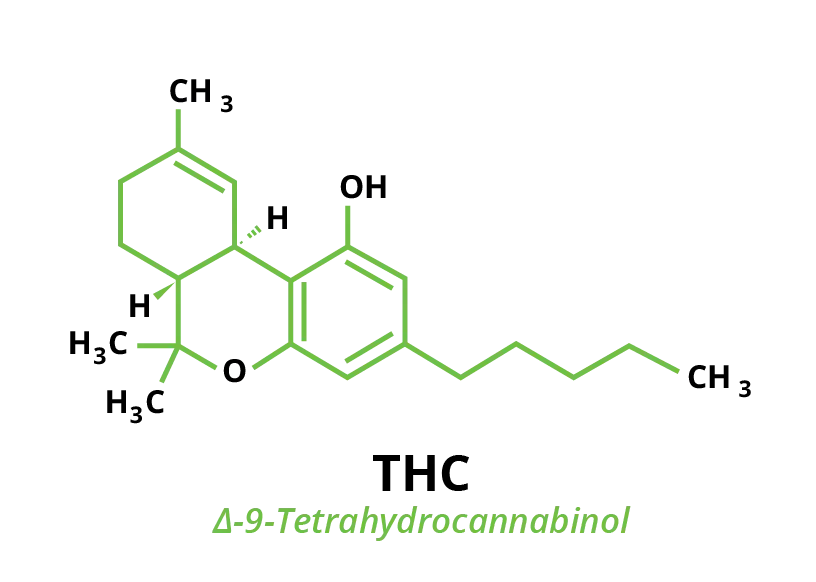 Molecular chemical structure of cannabinoid THC Tetrahydrocannabinol
