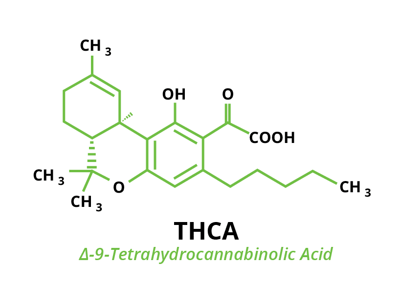 Molecular chemical structure of cannabinoid THCA Tetrahydrocannabinolic acid