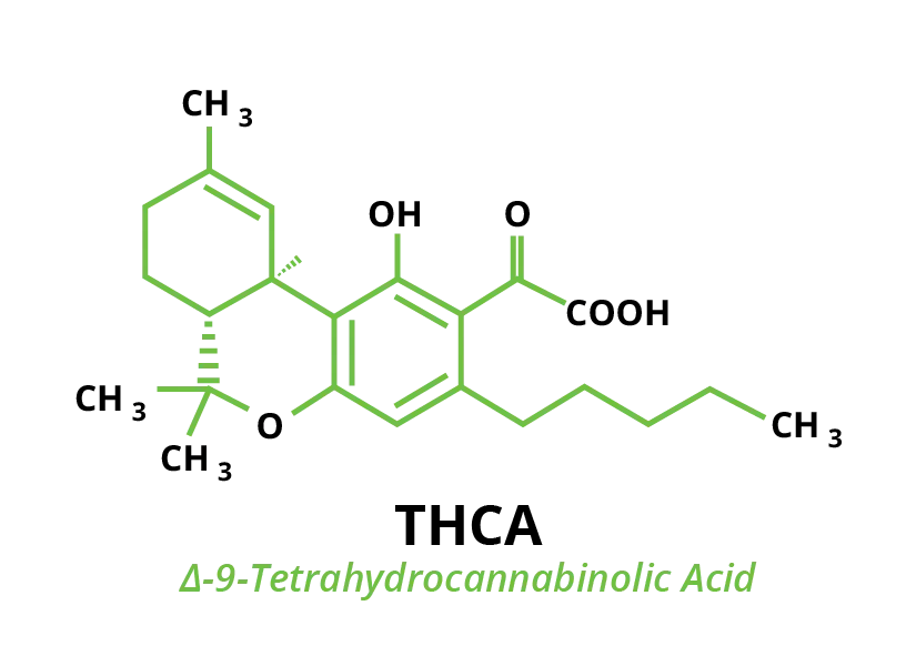 Molecular chemical structure of cannabinoid THCA Tetrahydrocannabinolic acid